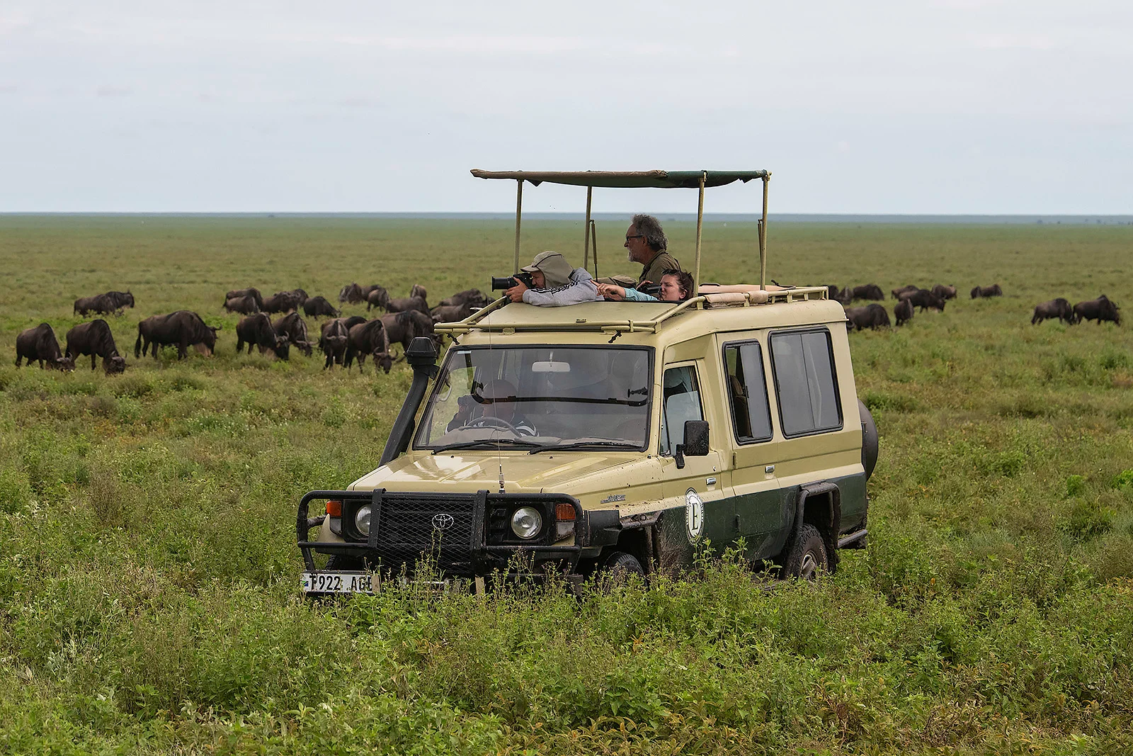 The Great Southern Plains: 4-Day Wildlife & Culture Adventure