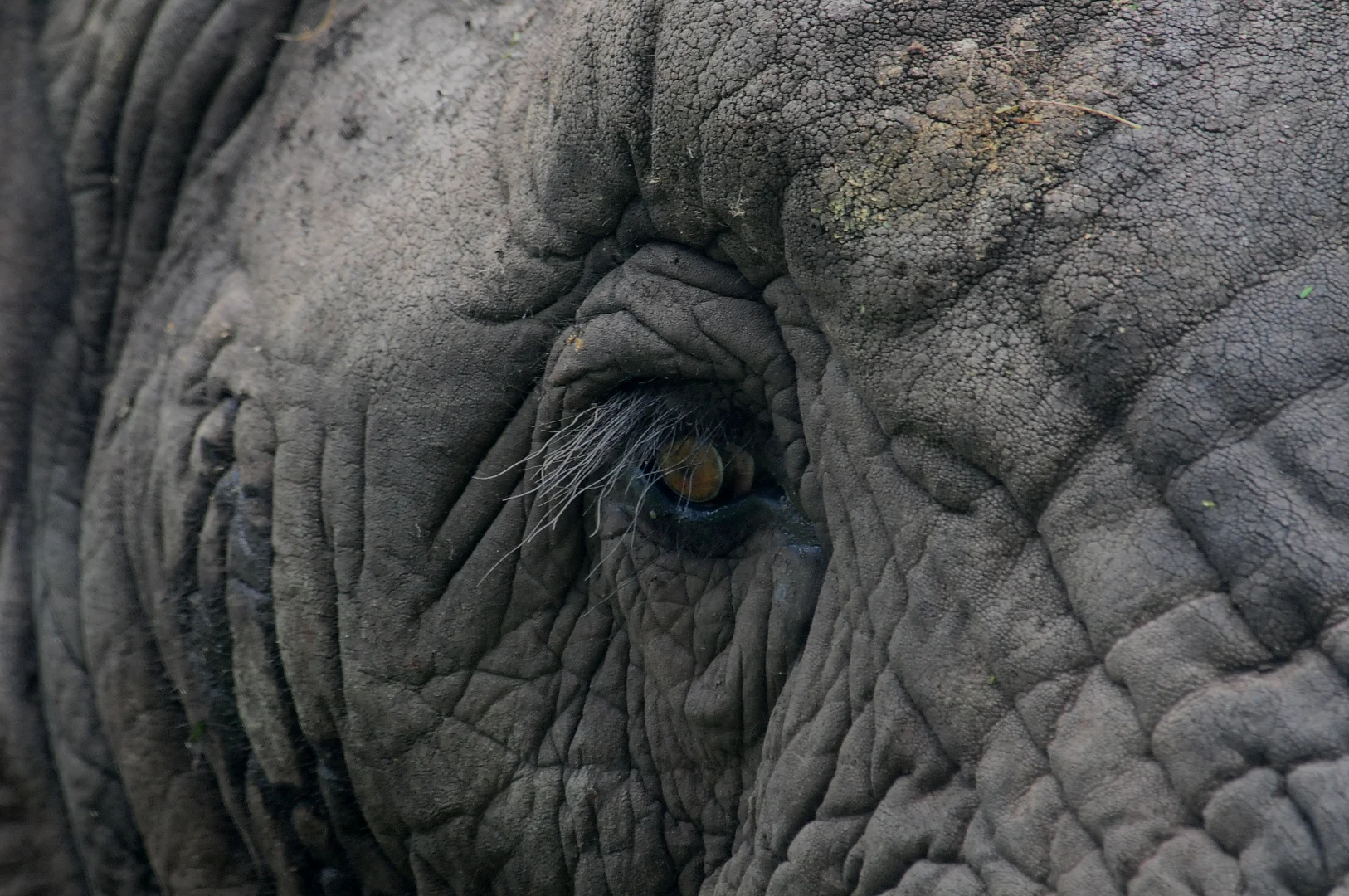 Tarangire National Park Day Trip